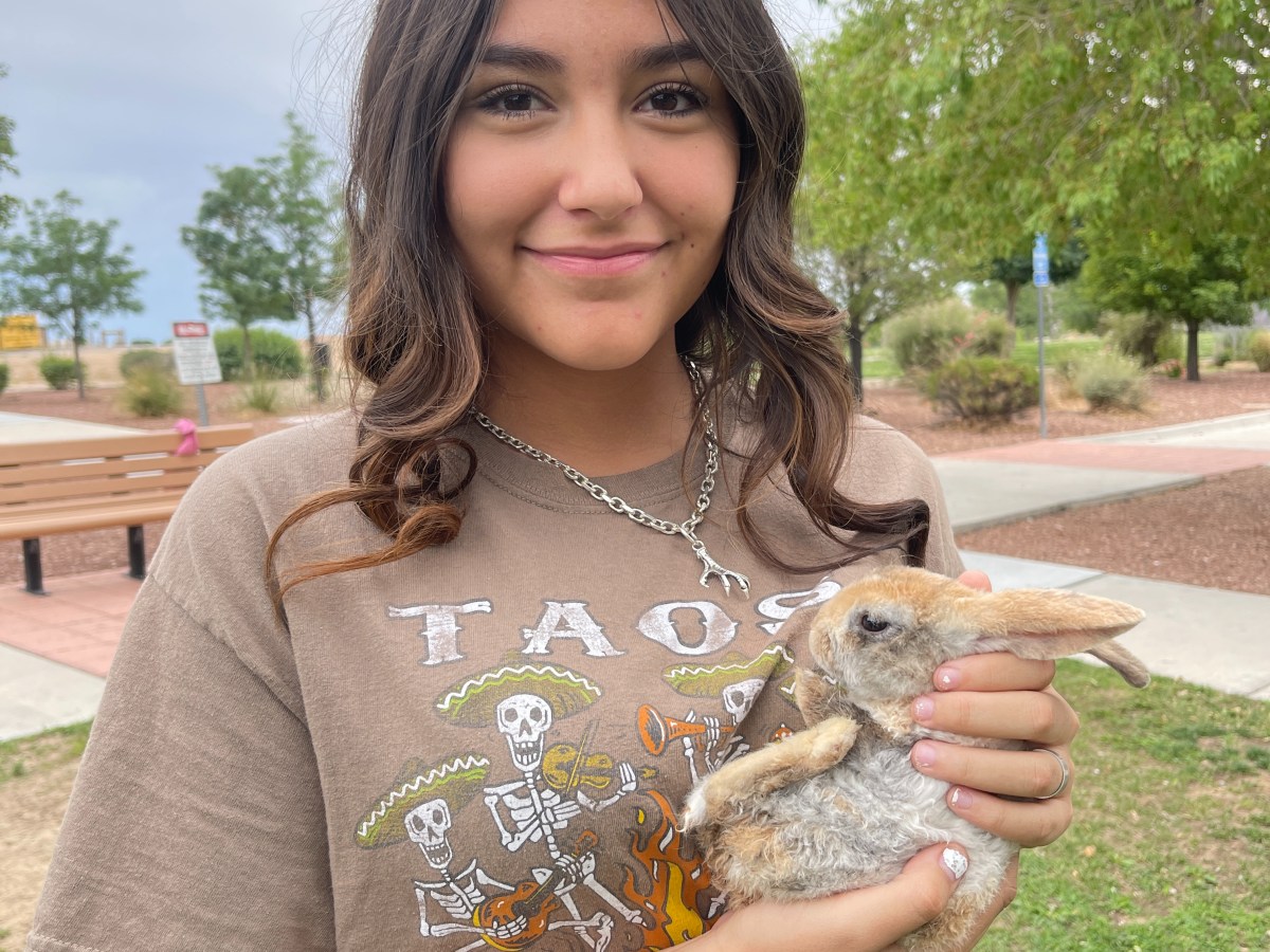 Trinity M. Albuquerque,&nbsp;NM